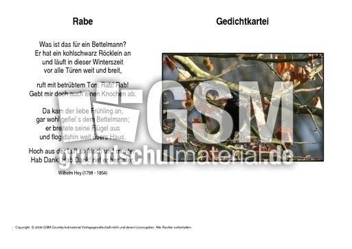 Rabe-Hey.pdf